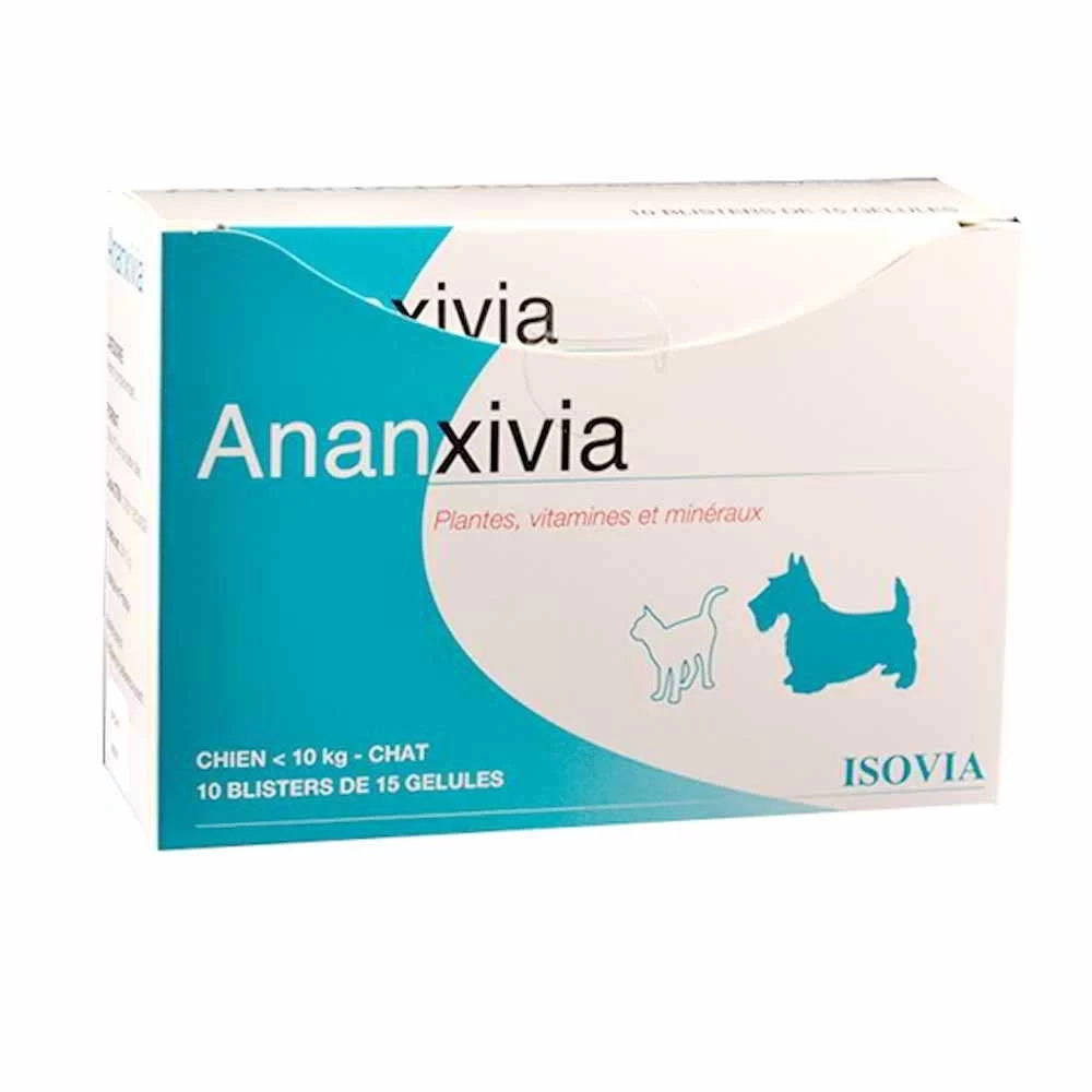 Isovia Ananxivia – Image 3