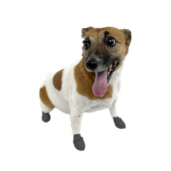 Pawz Botte Pour Chien â Image 2