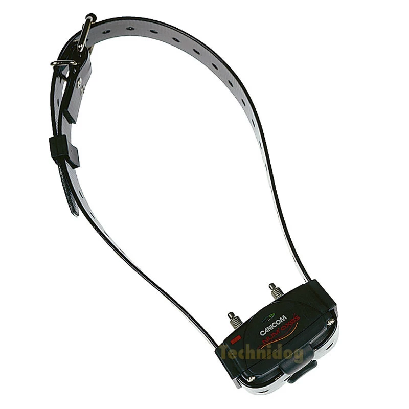 Numaxes CANICOM 200 - Collier Dressage (200m) – Image 3