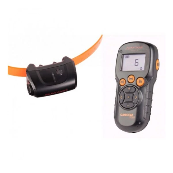 Promotion Numaxes CANICOM 5.202 - Collier Dressage (200m) â Image 2