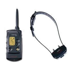 Promotion Numaxes CANICOM 800 - Collier Dressage (800m)