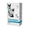 Cobalaplex - 60 Gélules