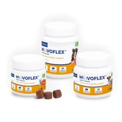 Promotion Virbac Movoflex