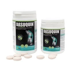 Dasuquin Pour Chien