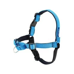 Harnais Easy Walk Deluxe Bleu Pour Chien