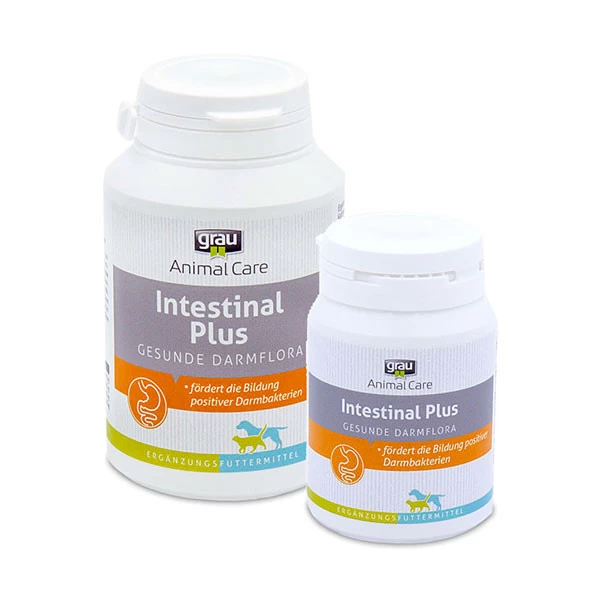 Grau Intestinal Plus Pour Chien â Image 2