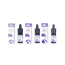 Nouveau Greenvet CBD Vet