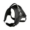 Déstockage- 13% EqDog Harnais Classic Pour Chien