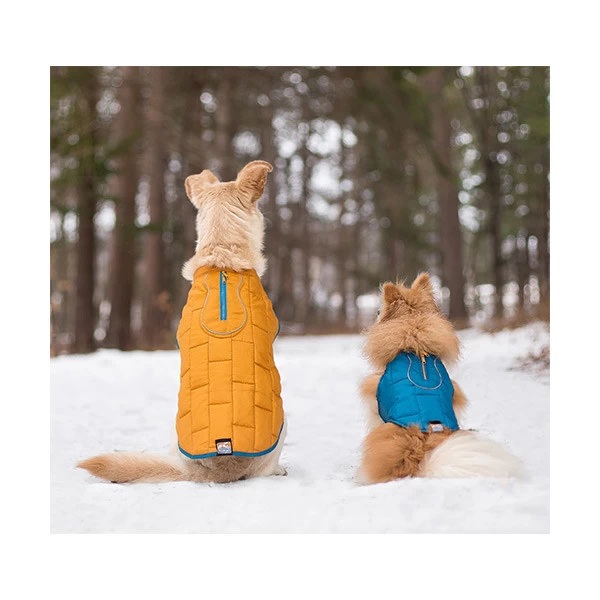 Kurgo Gilet De Confort Bleu/Orange â Image 3