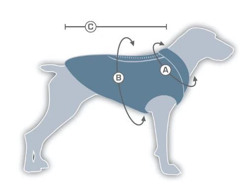 Kurgo Gilet De Confort Bleu/Orange â Image 5