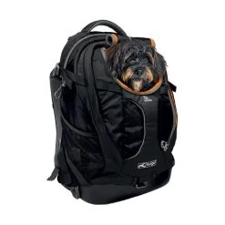 Soldes D'Été Kurgo Sac à Dos G-Train K9