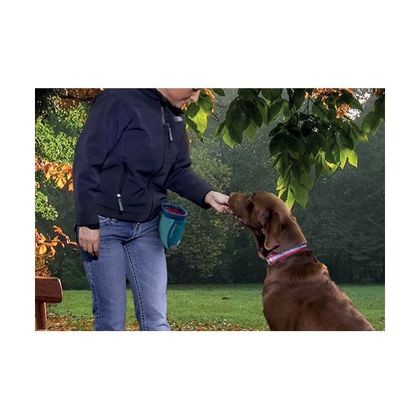 Kurgo Sac Pour Friandises â Image 4