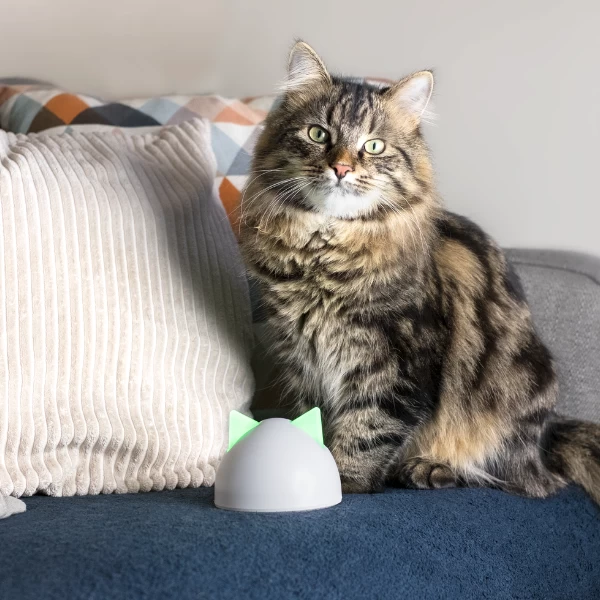 Nouveau Hub Sure Petcare (pour Gamme Connect) â Image 5