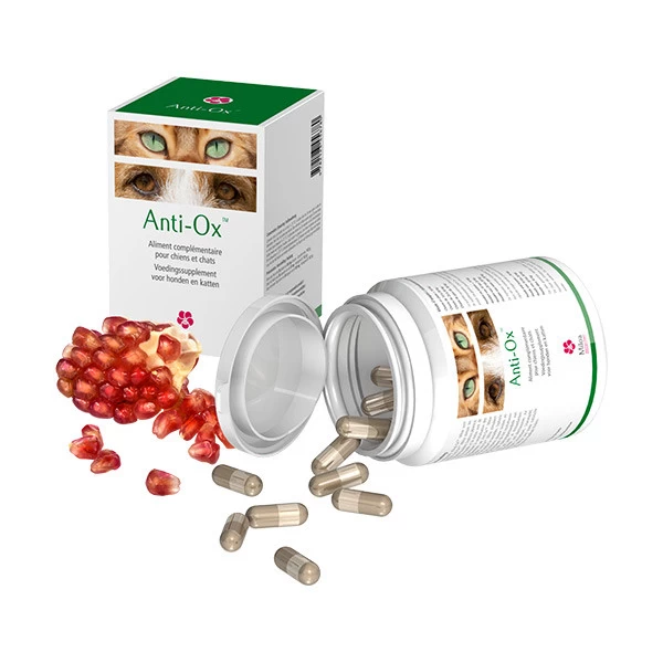 Miloa Anti-Ox - 30 Gélules – Image 2