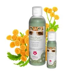 Soldes D'Été Miloa Ultra Pure Shampooing