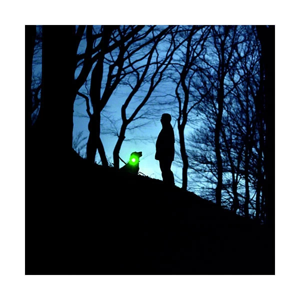 Orbiloc Lampe LED Dog Dual Safety Light â Image 6