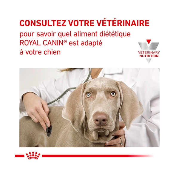 Royal Canin Vdiet Dog Diabetic â Image 3