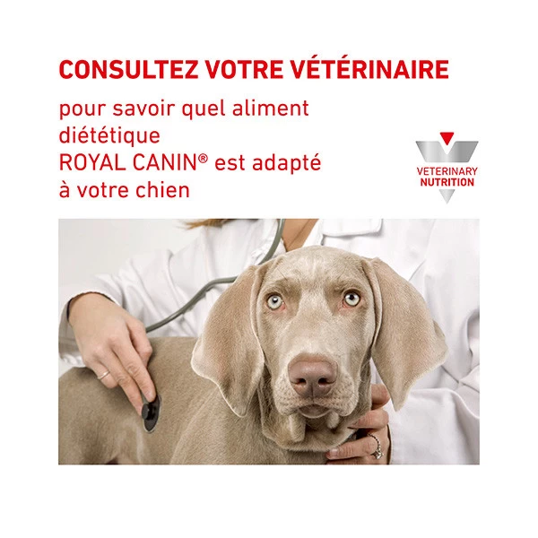 Royal Canin Vdiet Dog Urinary S/O - 12 X 100 G â Image 6