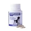 SOFCANIS Sénior Comprimés Pour Chien - 50 Cps