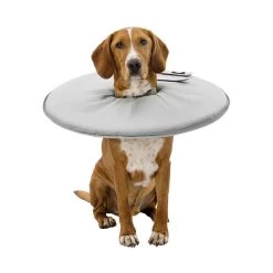 Trixie Collerette De Protection