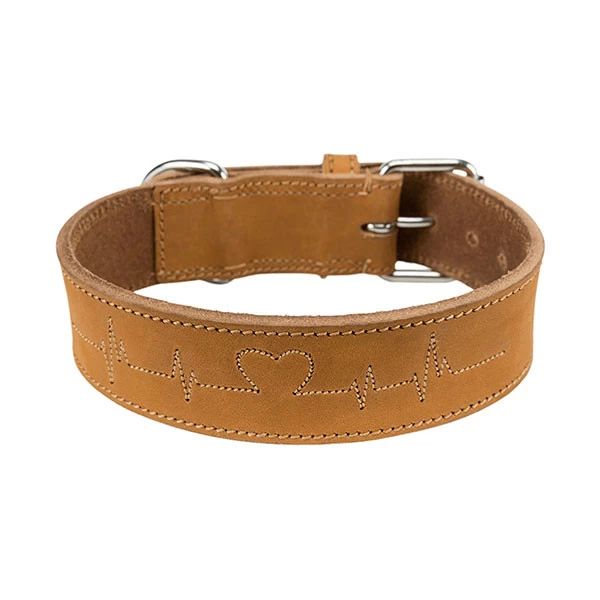 Trixie Rustic Collier En Cuir Gras â Image 2