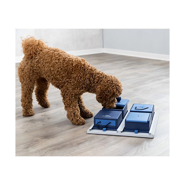 Trixie Jeu De StratĂ©gie Poker Box 1 - Niveau 2 â Image 3