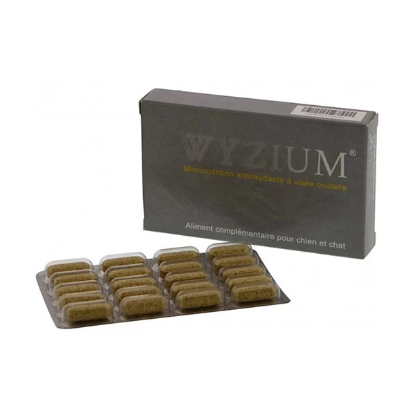 Wyzium Aliment Complémentaire – Image 2