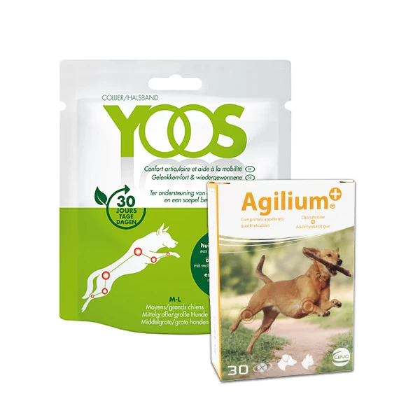 CEVA Pack Confort Articulaire Chien (M/L) - Agilium Plus 30 Cps + 1 Collier Yoos – Image 2